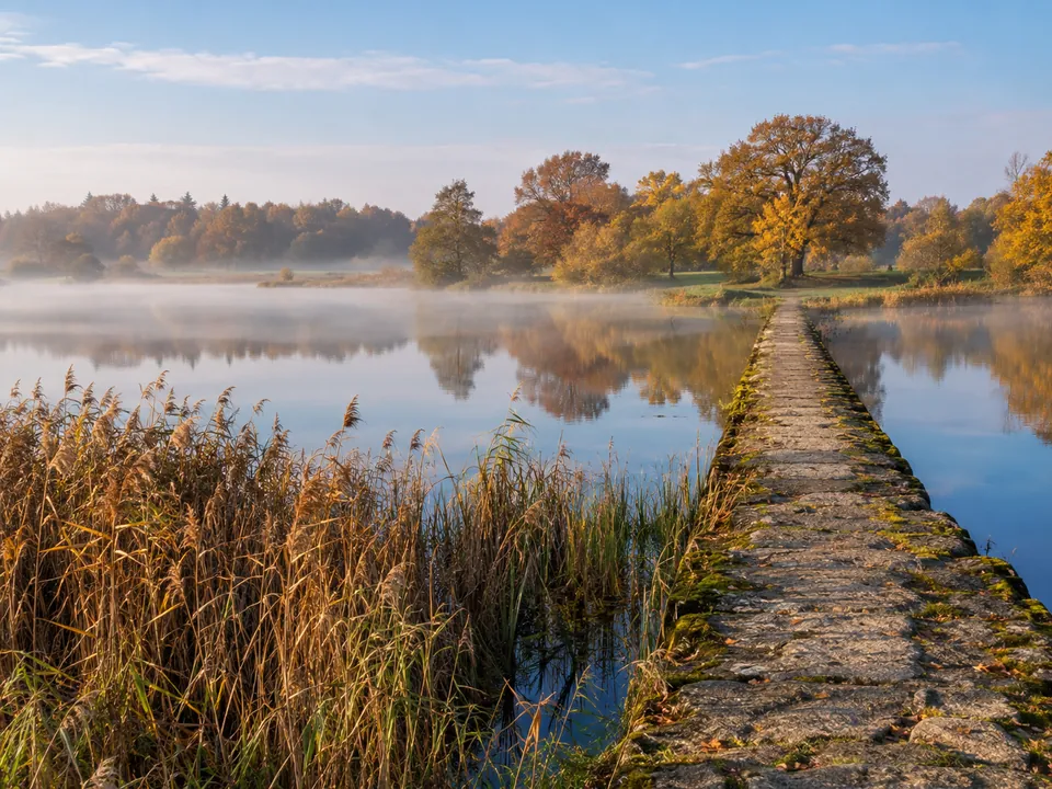 The lake around Schloss Moritzburg, made by flooding four smaller ponds into one